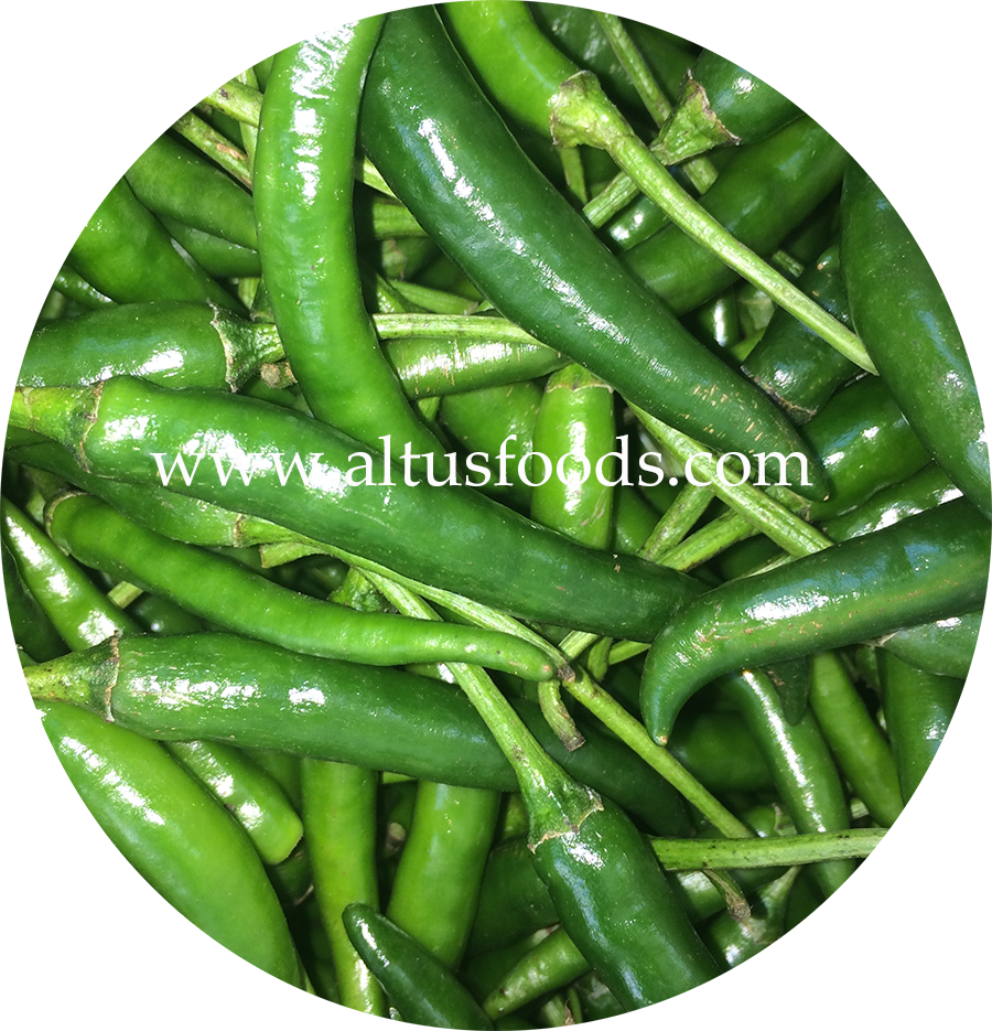 Fresh Green Chili Peppers Batch PNG