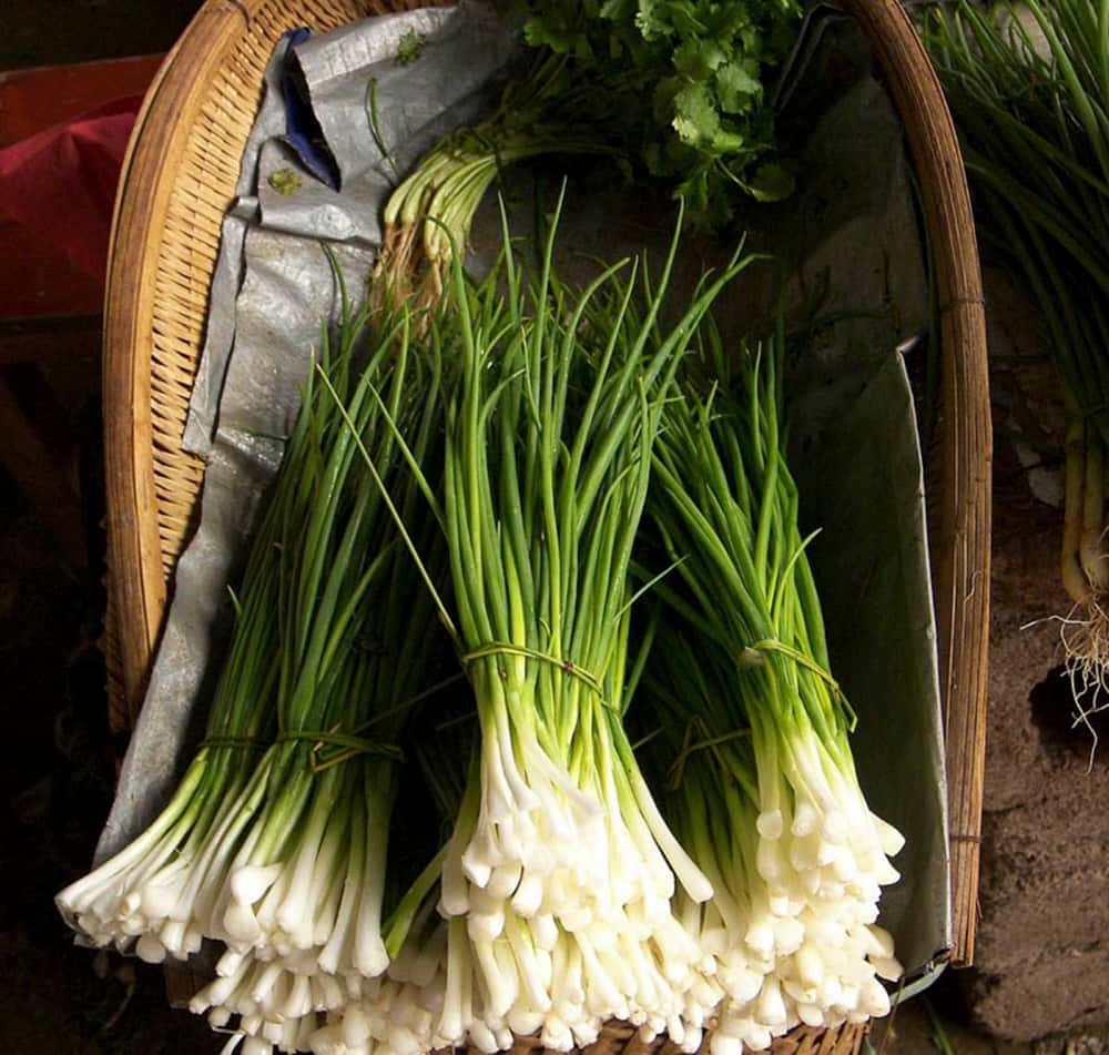 Fresh Green Chives With White Roots Wallpaper