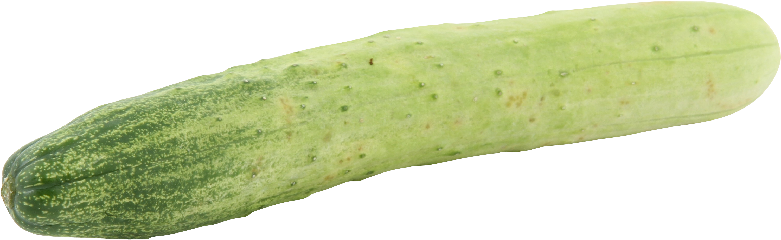 Fresh Green Cucumber Isolated PNG