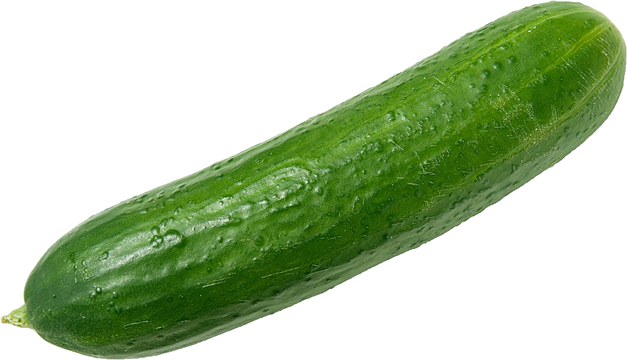 Fresh Green Cucumber.png PNG
