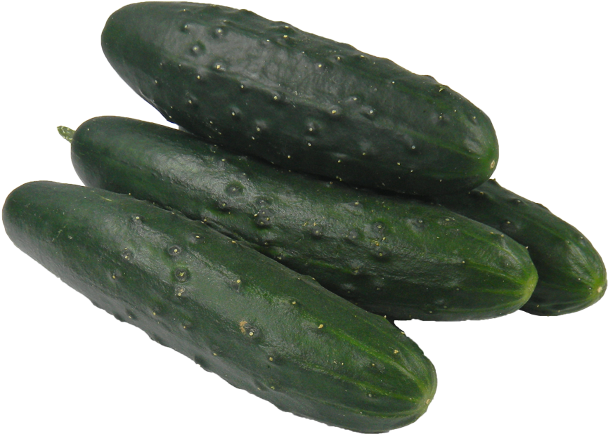 Fresh Green Cucumbers.png PNG
