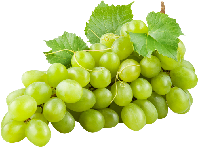 Fresh Green Grapes Cluster PNG