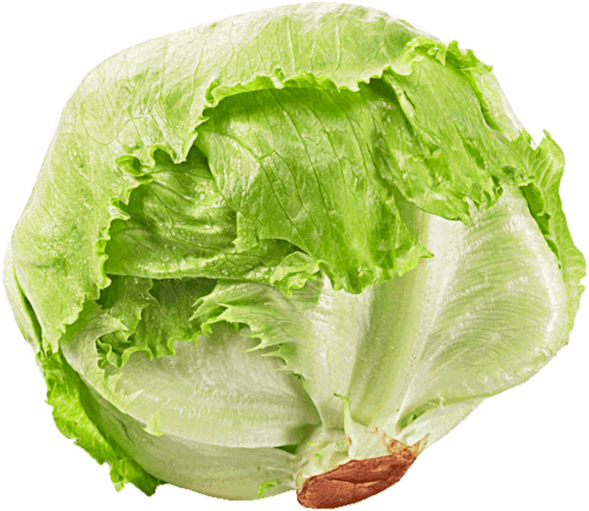 Fresh Green Iceberg Lettuce PNG