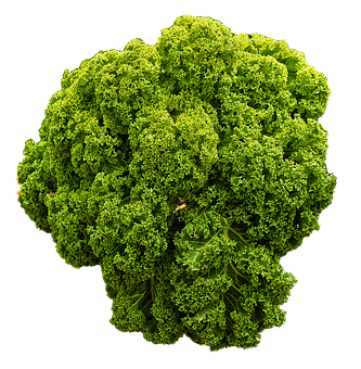 Fresh Green Kale Black Background PNG