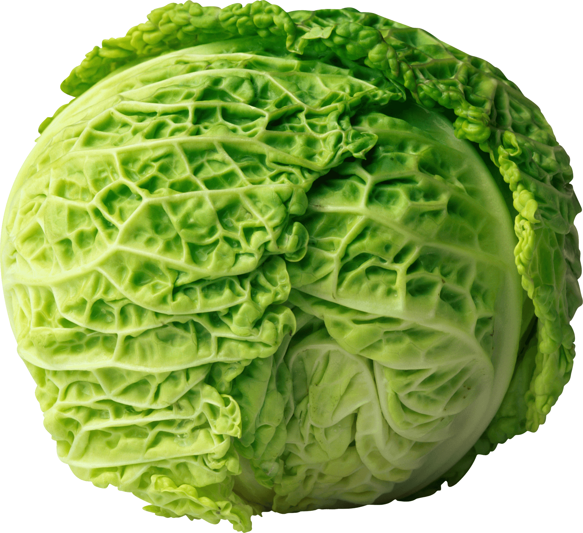 Fresh Green Lettuce Head PNG
