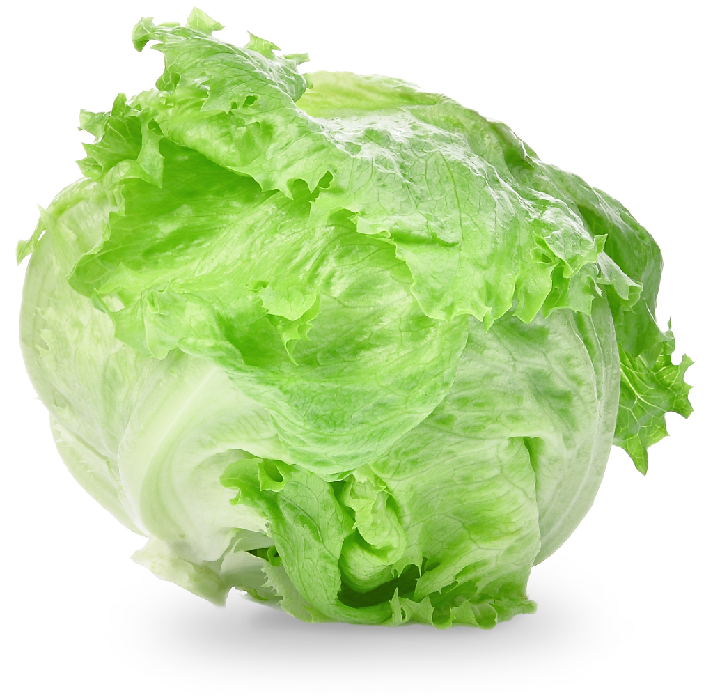 Fresh Green Lettuce Head.png PNG