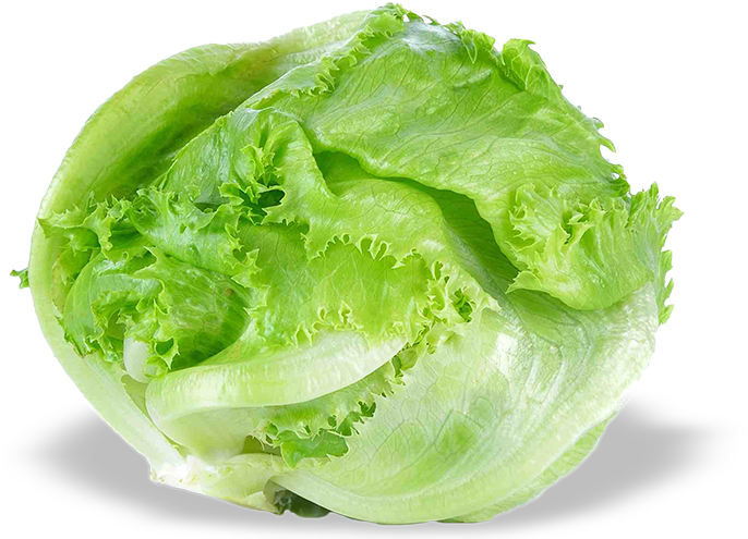Fresh Green Lettuce Isolated PNG