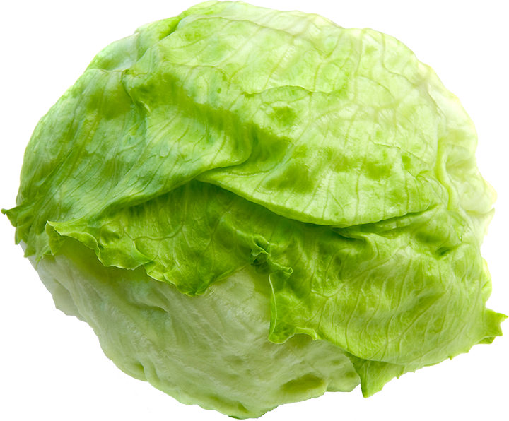 Fresh Green Lettuce Isolated.png PNG