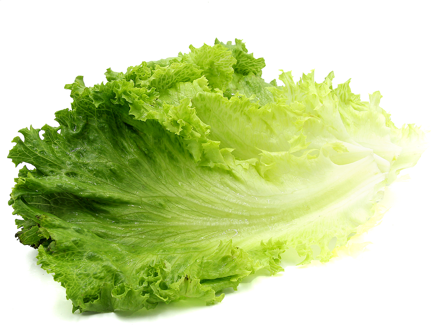 Fresh Green Lettuce Leaves.png PNG