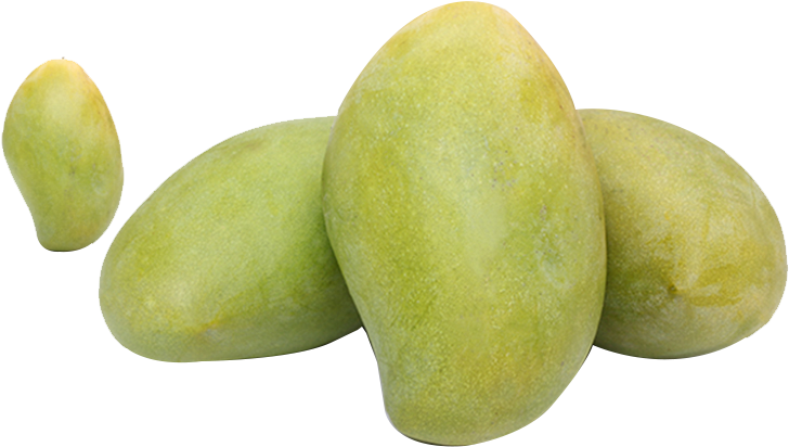 Fresh Green Mangoes Cluster PNG