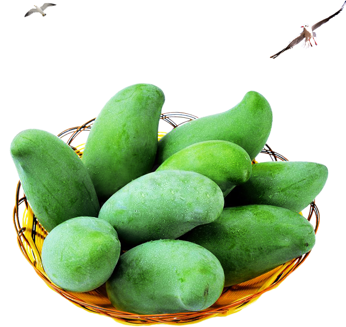 Fresh Green Mangoesin Basket PNG