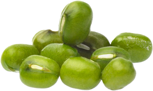 Fresh Green Mung Beans Isolated PNG