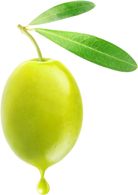 Fresh Green Olivewith Droplet PNG