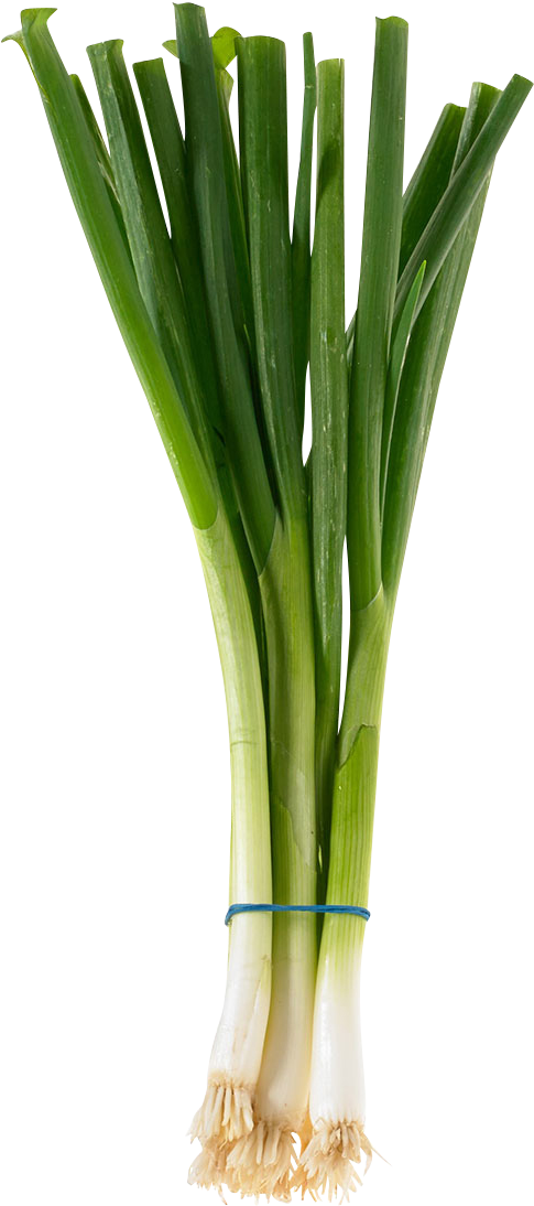 Fresh Green Onions Bunch PNG