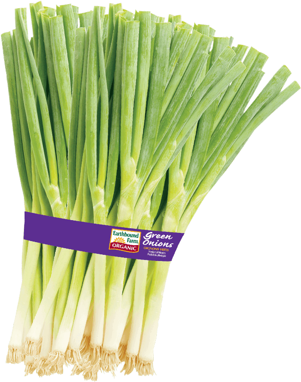 Fresh Green Onions Bundle PNG