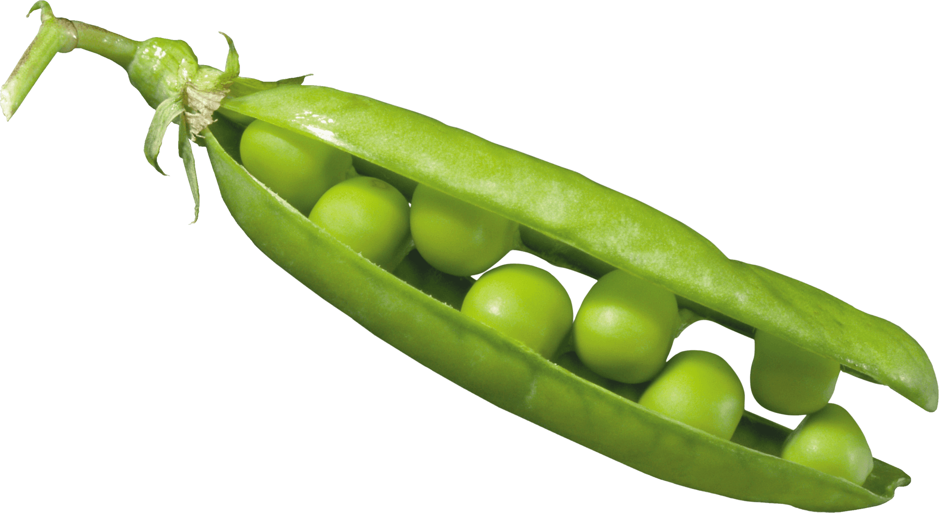 Fresh Green Pea Pod PNG