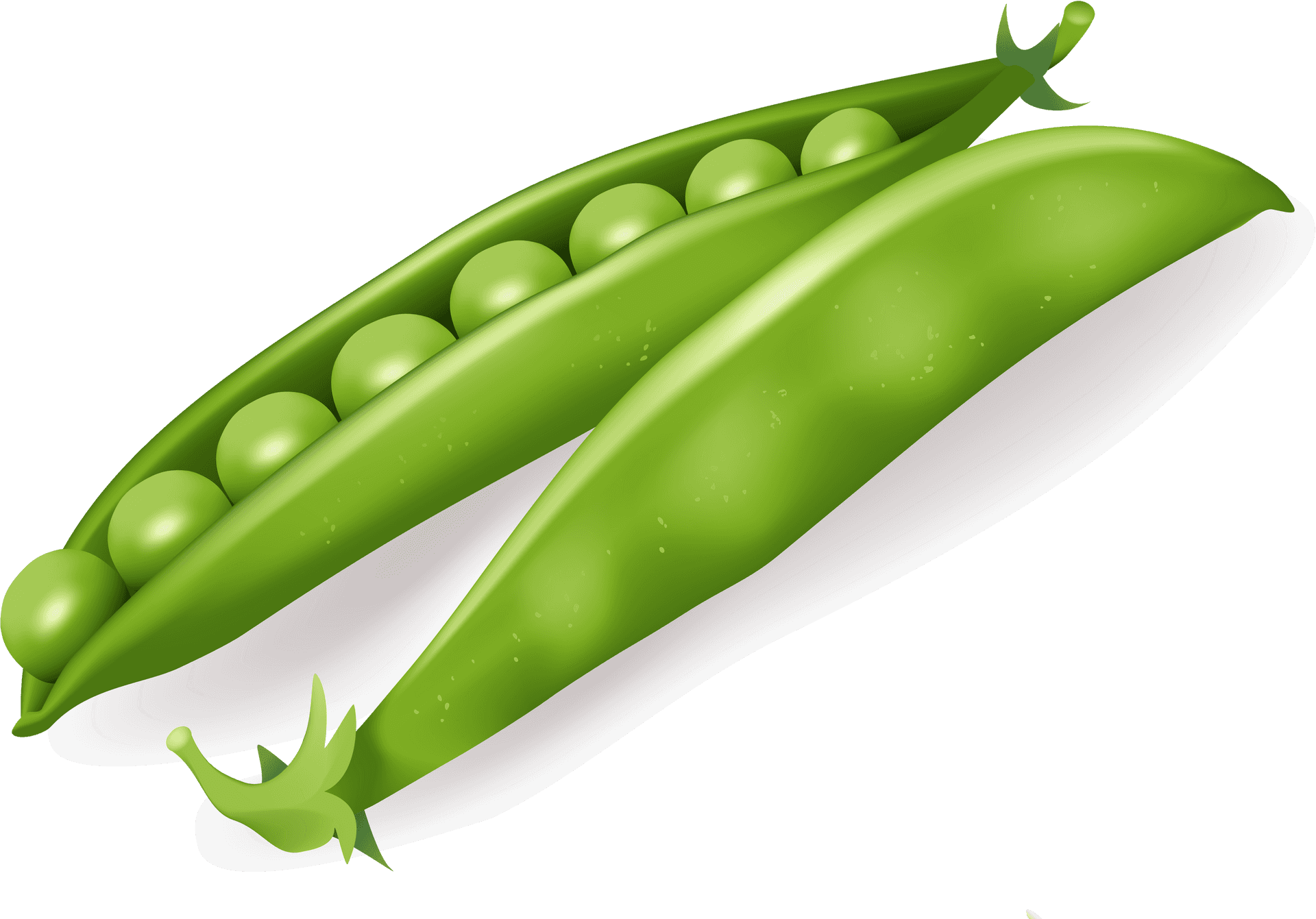 Fresh Green Pea Pod Illustration PNG