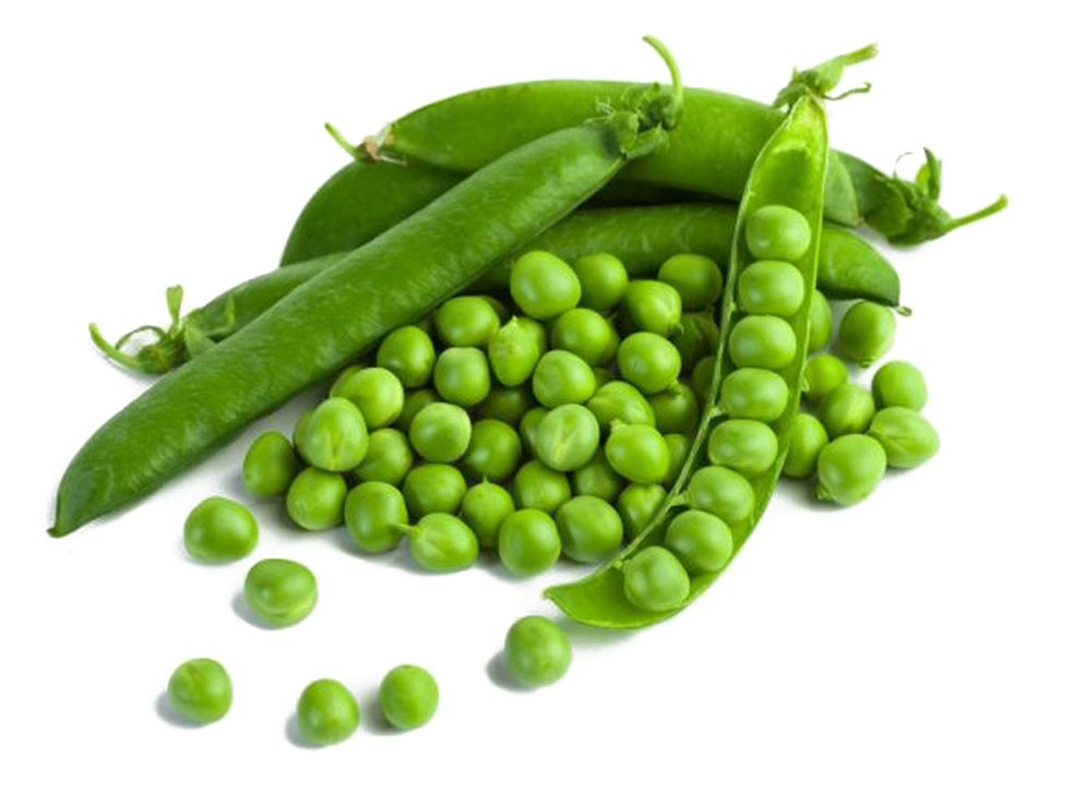 Fresh Green Peas P N G Image PNG