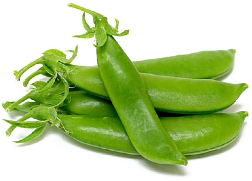 Fresh Green Peas Pods PNG