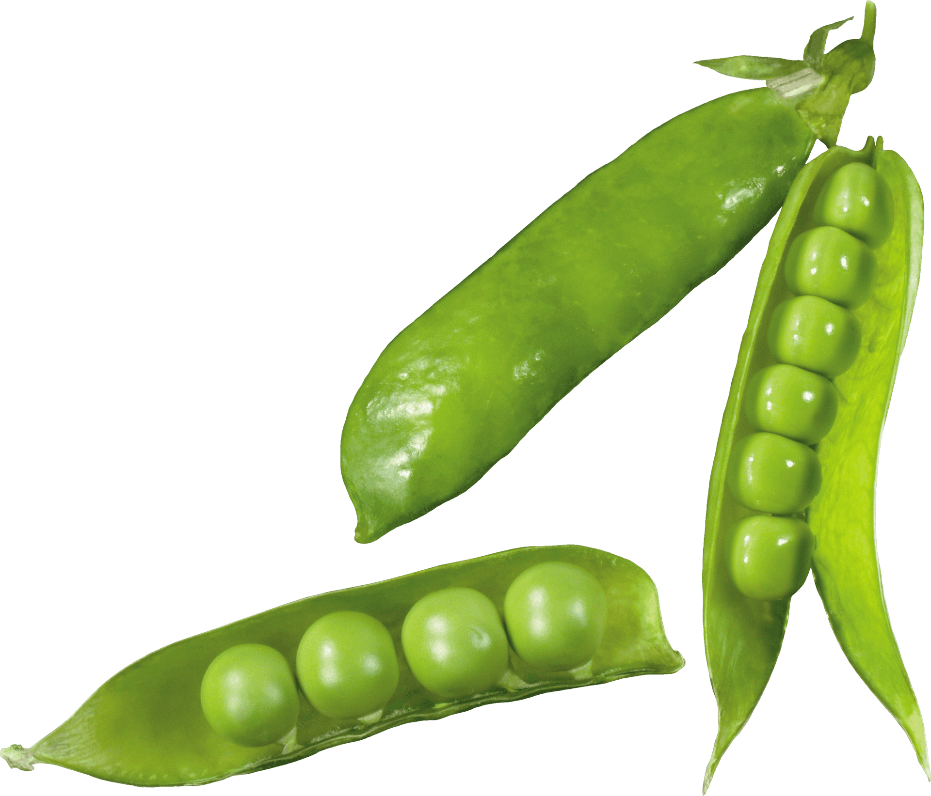 Fresh Green Peas Pods Transparent Background PNG