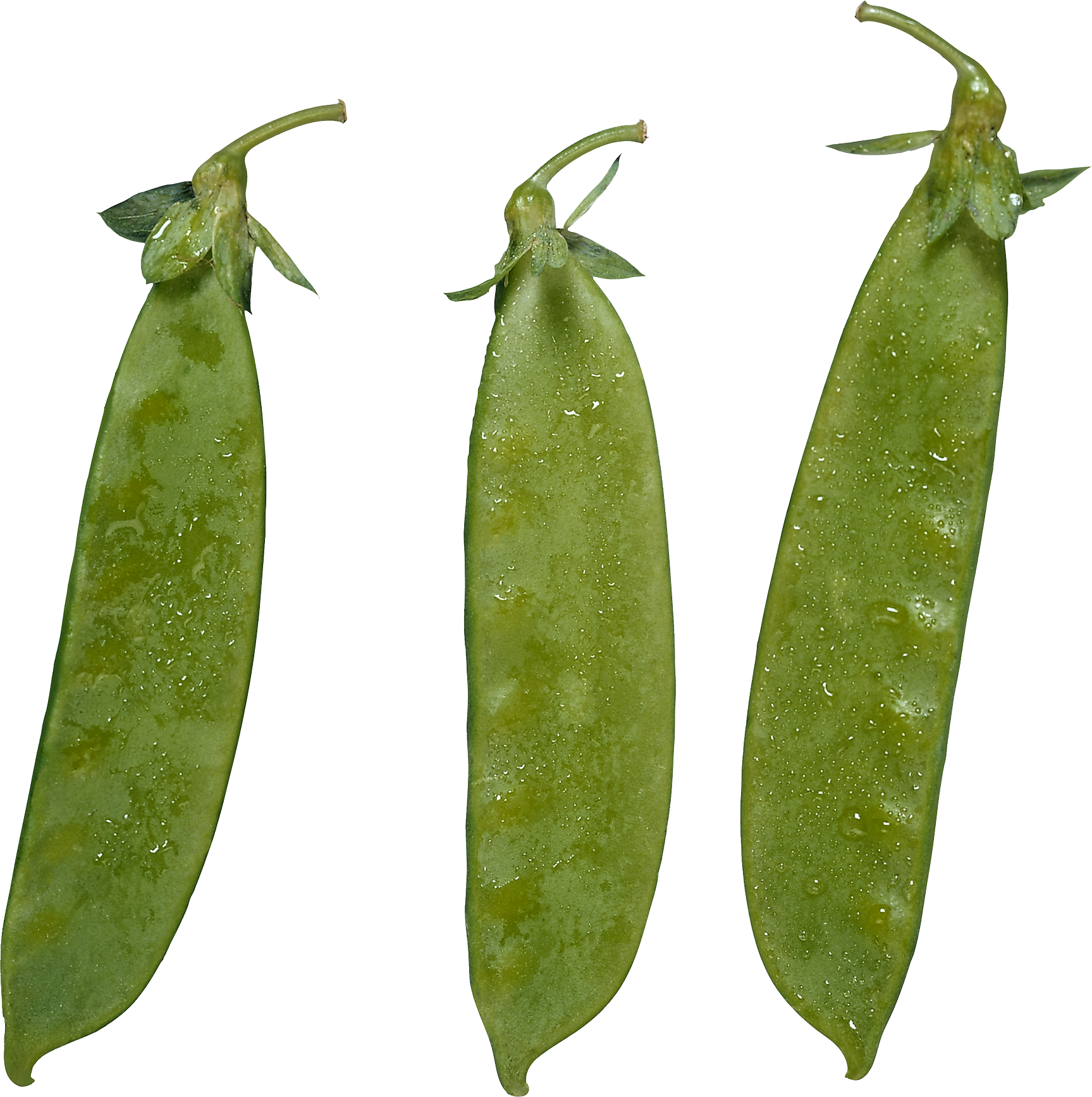 Fresh Green Peas Pods Water Droplets PNG