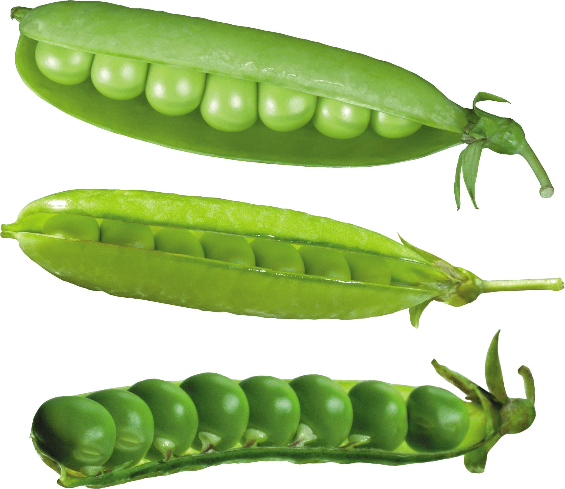 Fresh Green Peas Pods PNG