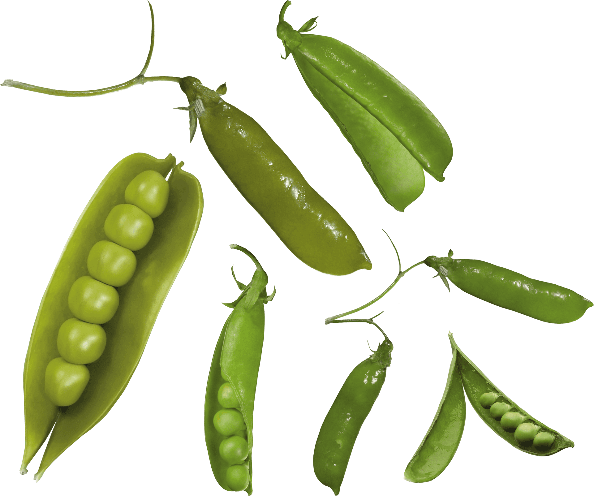 Fresh Green Peas Variety PNG