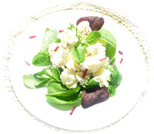 Fresh Green Salad Tossed Ingredients PNG
