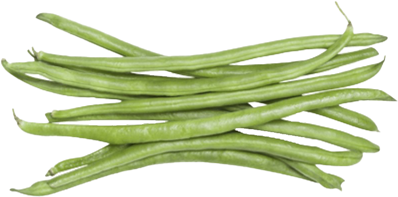 Fresh Green String Beans Isolated PNG