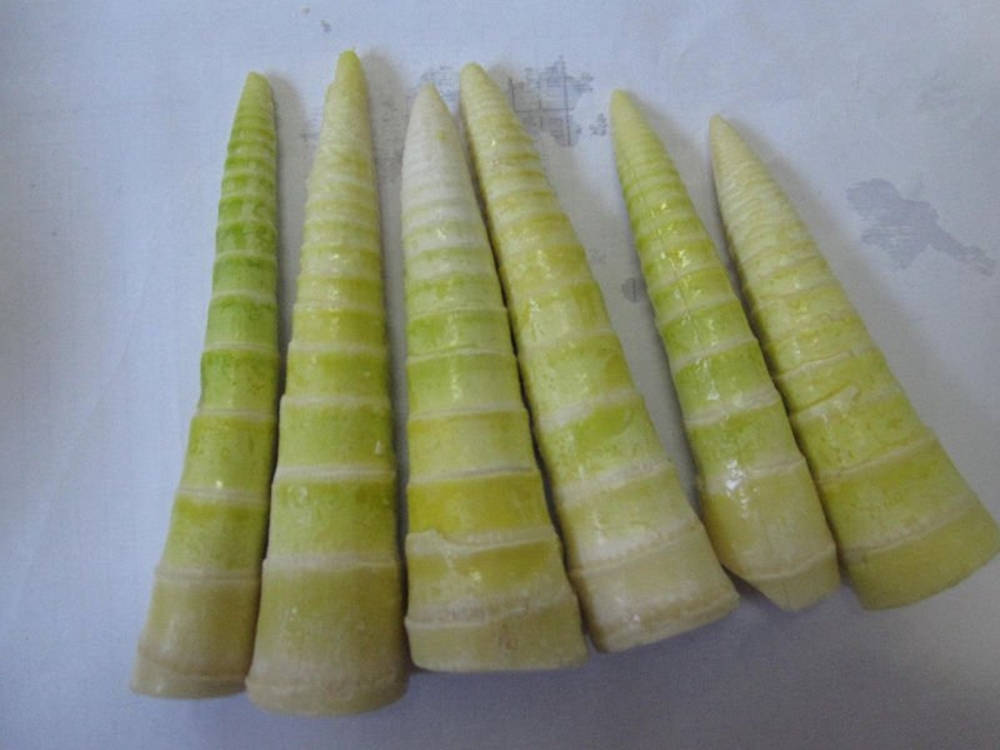 Frischegrüne Gemüse Bambussprossen Wallpaper