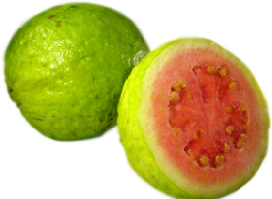 Fresh Guava Fruit Cutand Whole PNG