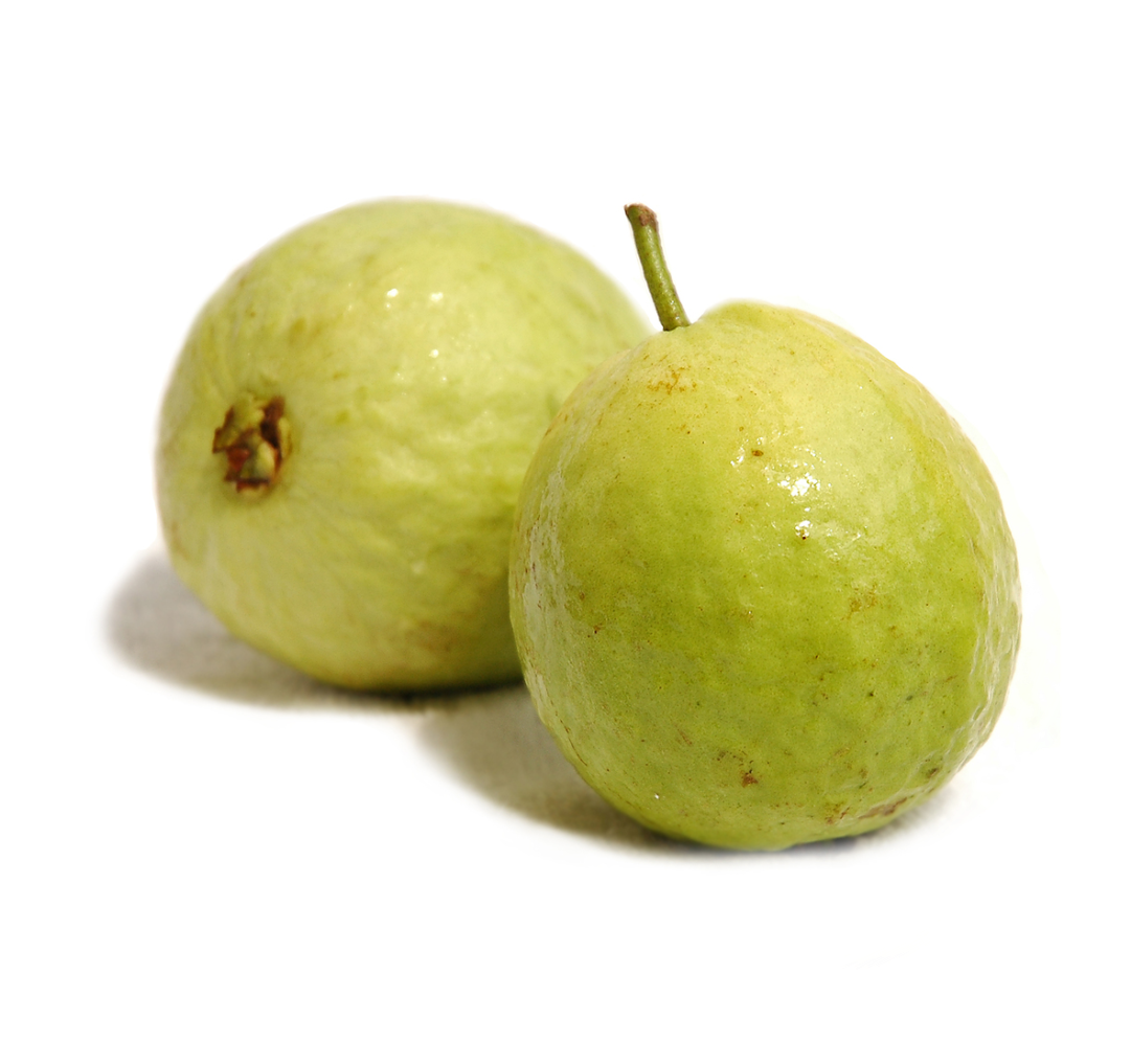 Fresh Guava Fruit Isolated PNG