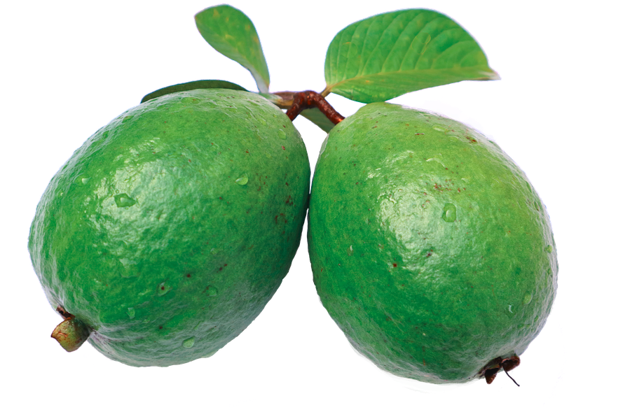 Fresh Guava Fruit Transparent Background PNG
