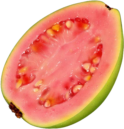 Fresh Guava Slice Pink PNG
