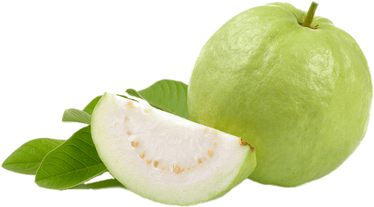 Fresh Guavaand Slice.png PNG