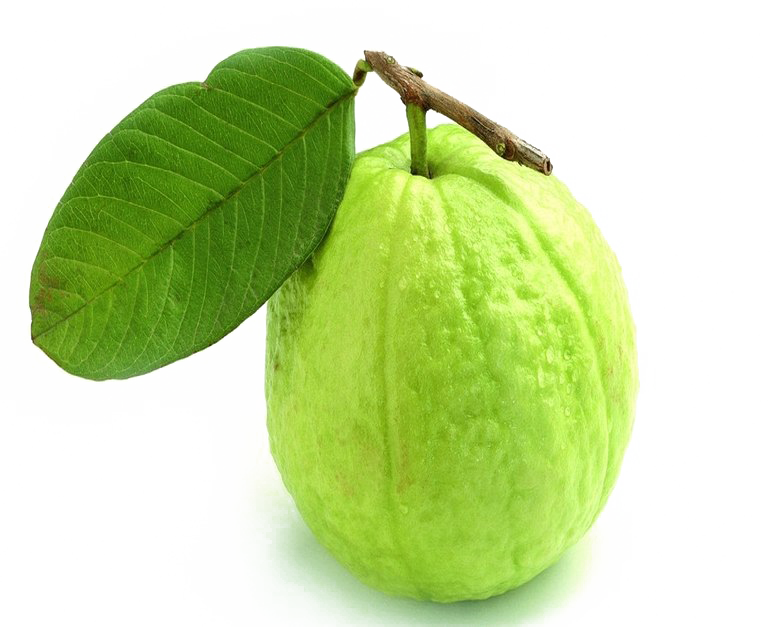 Fresh Guavawith Leaf PNG