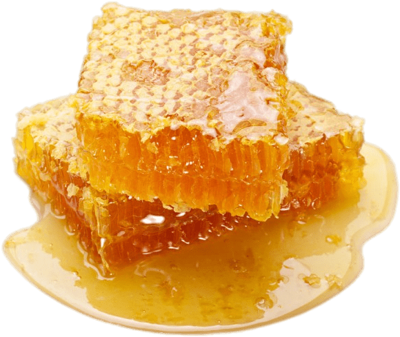 Fresh Honeycomb Piece Dripping Honey PNG