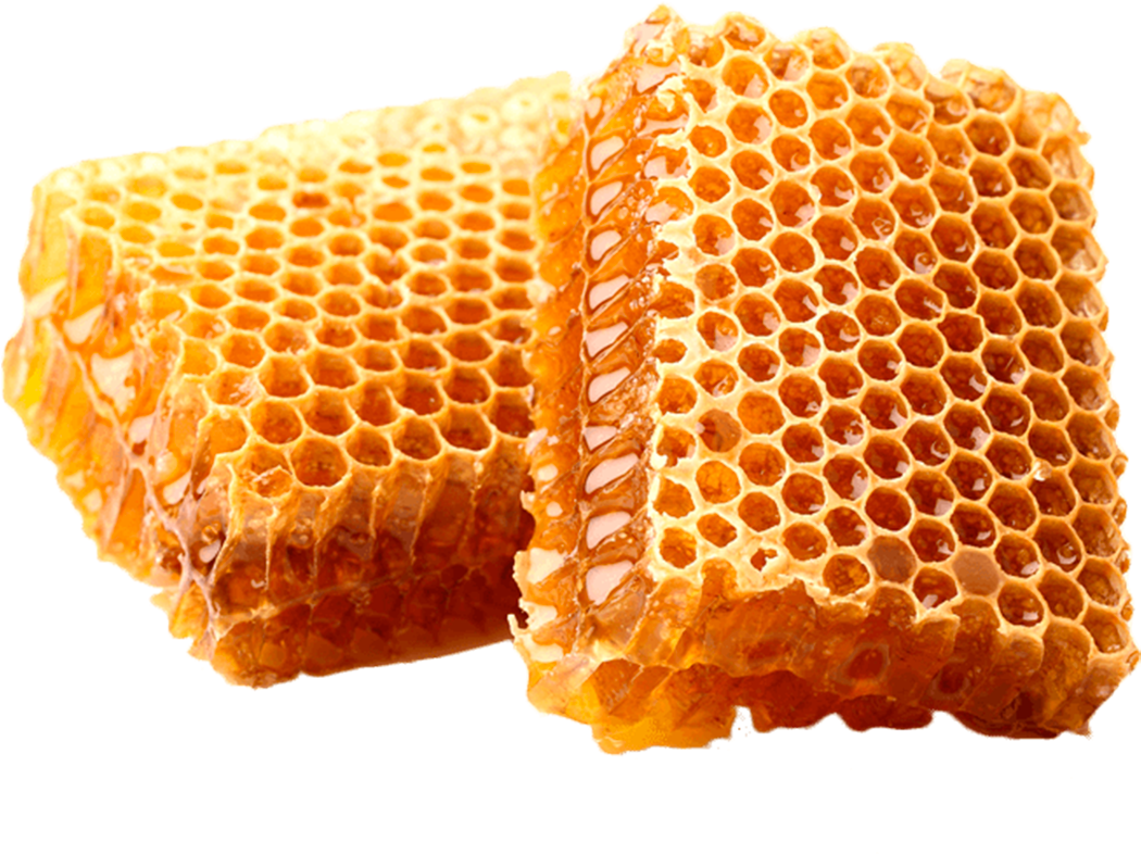 Fresh Honeycomb Pieces PNG