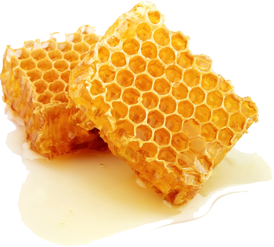 Fresh Honeycomb Pieces PNG