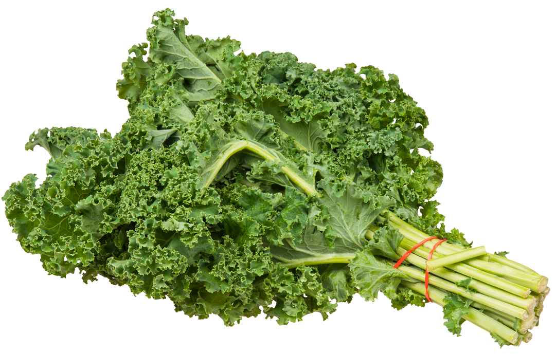 Fresh Kale Bunch.png PNG