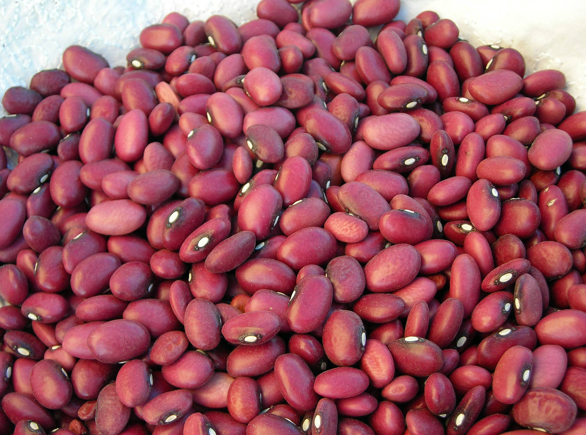 Fresh Kidney Beans Background