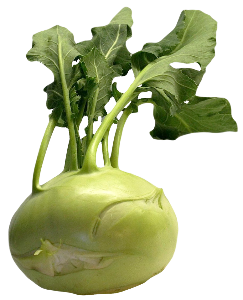 Fresh Kohlrabi Vegetable.png PNG