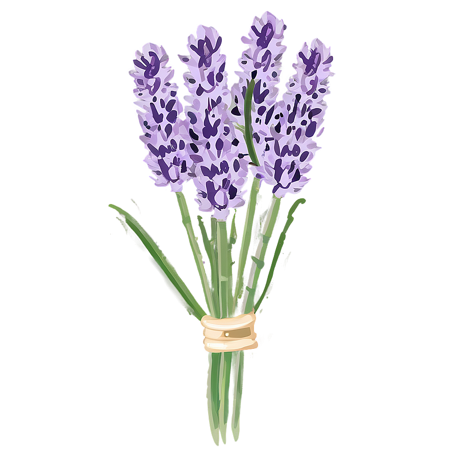 Fresh Lavender Bunch Png Muw8 PNG