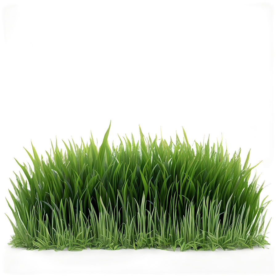 Fresh Lawn Grass Png 04292024 PNG