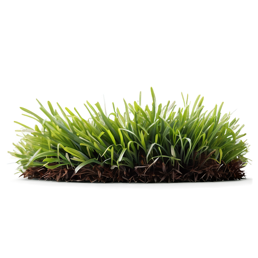 Fresh Lawn Grass Png 32 PNG