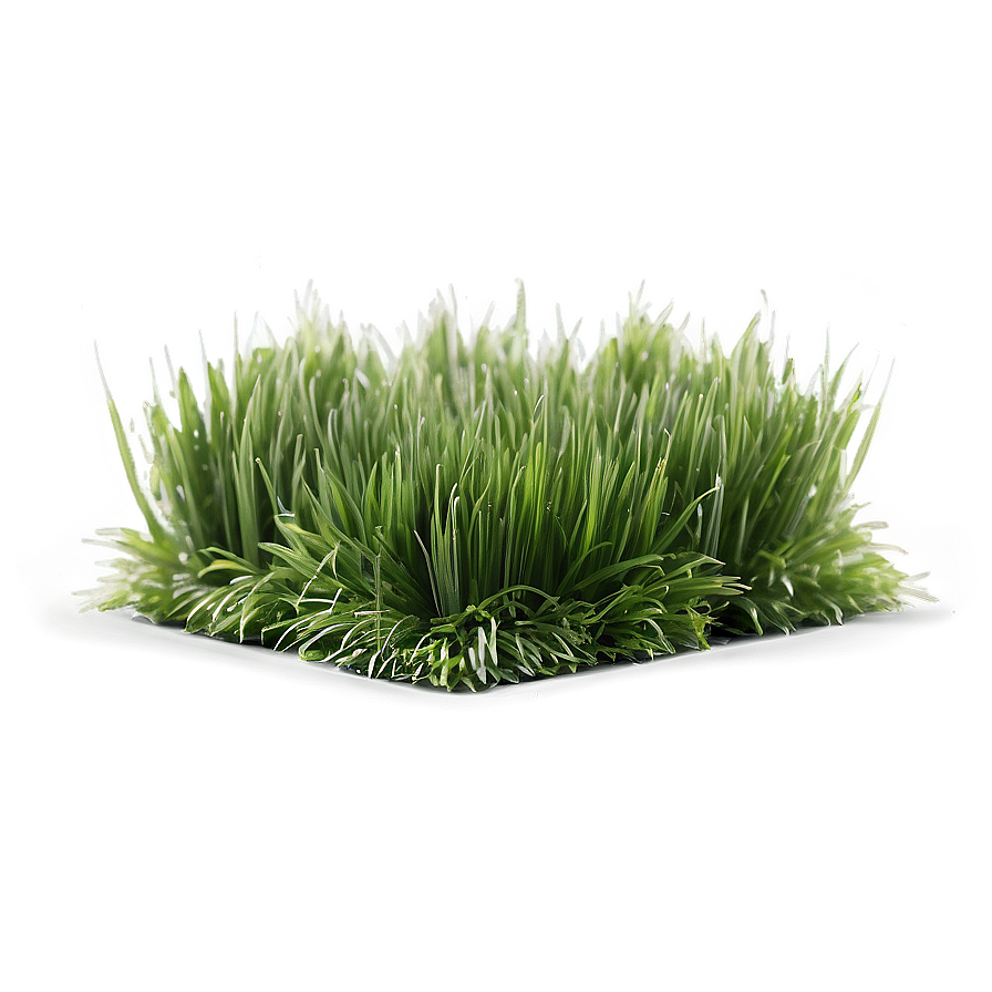Fresh Lawn Grass Png Nxj PNG