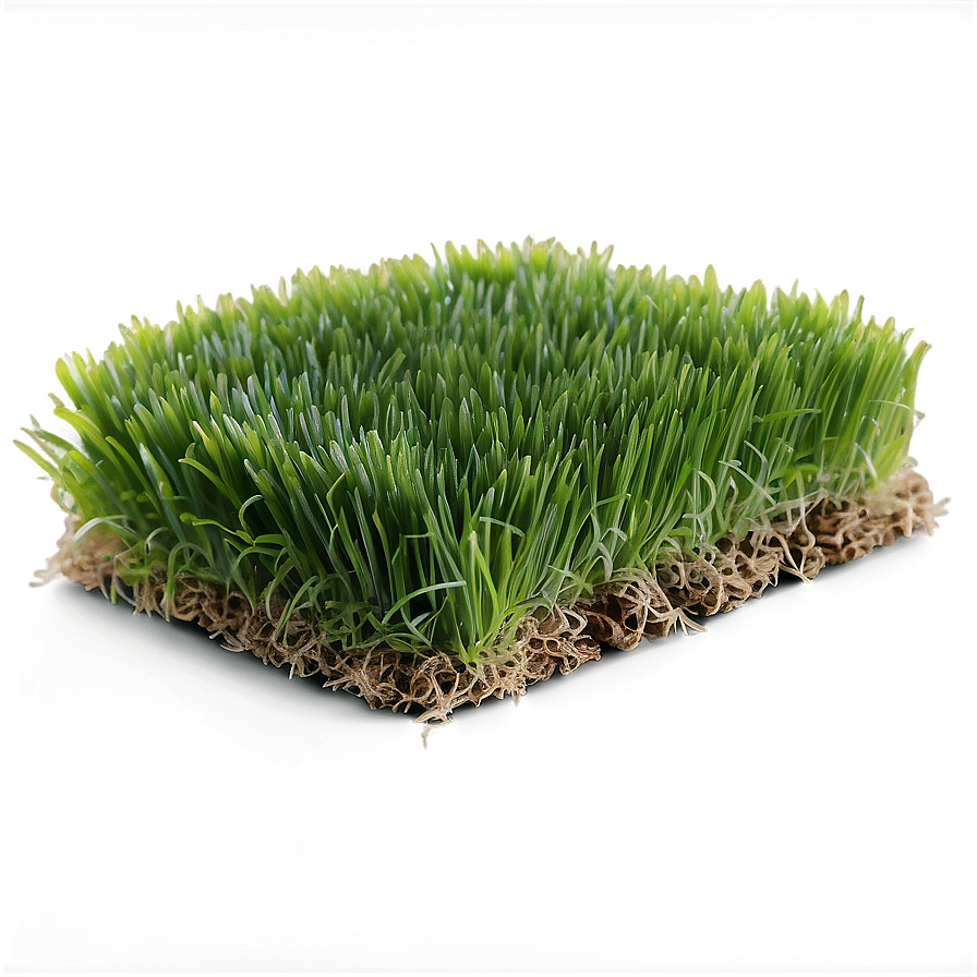 Fresh Lawn Grass Png Ocn PNG
