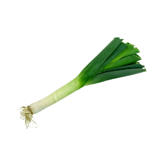 Fresh Leek Isolatedon Grey Background PNG