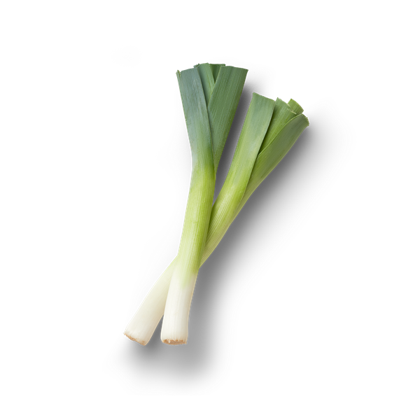 Fresh Leek Vegetable Isolated PNG