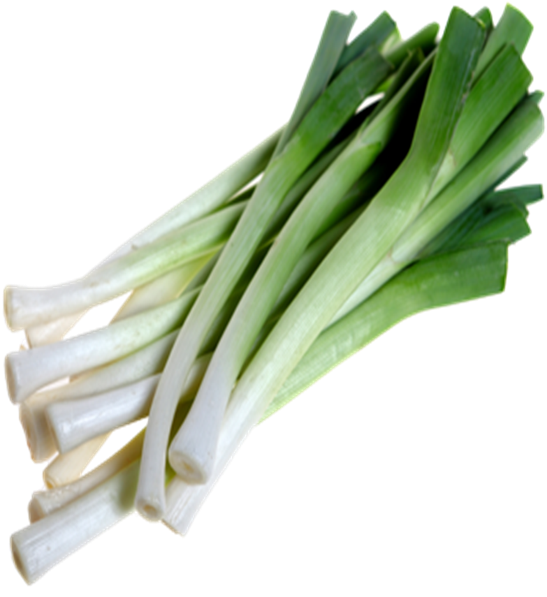 Fresh Leeks Isolated.png PNG